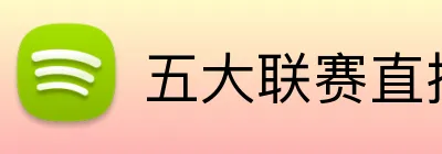 五大联赛直播 Logo